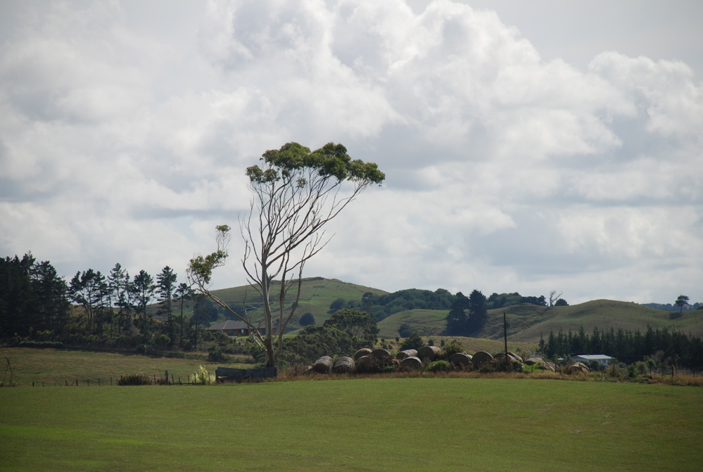 DSC_0218.JPG