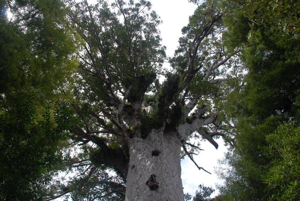 DSC_0225.JPG
