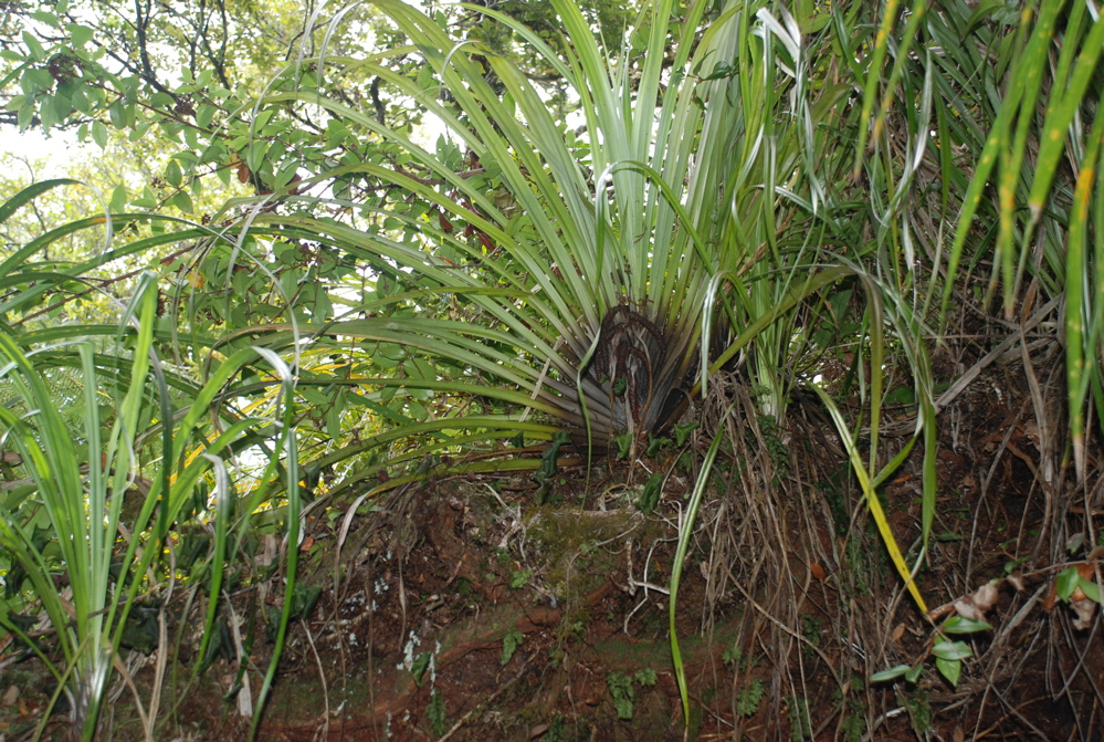 DSC_0230.JPG