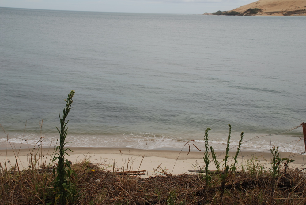 DSC_0236.JPG