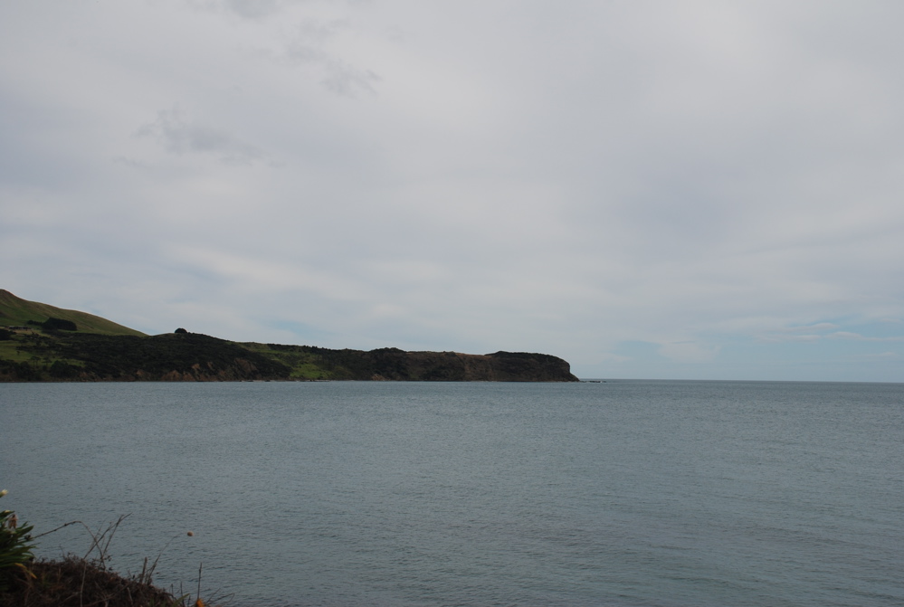 DSC_0237.JPG