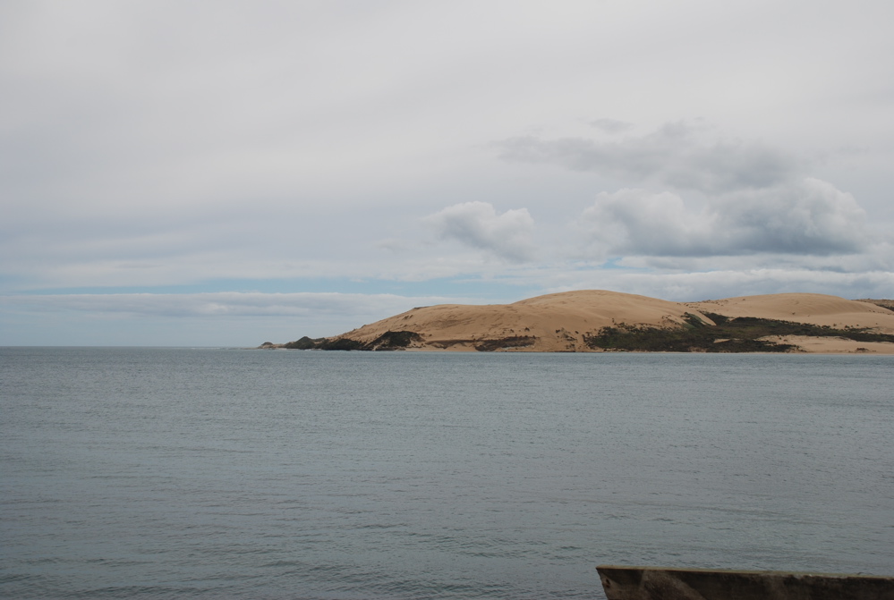 DSC_0238.JPG