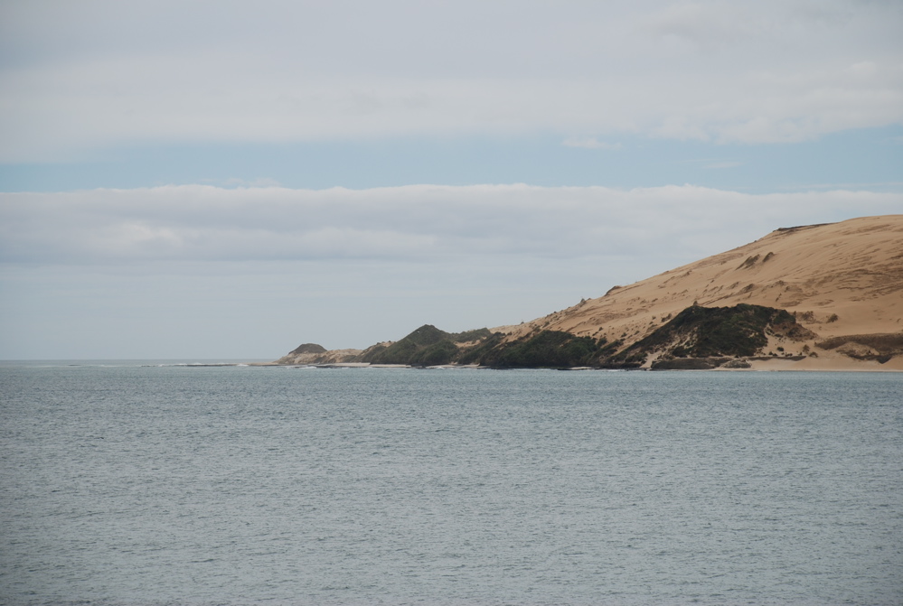 DSC_0239.JPG