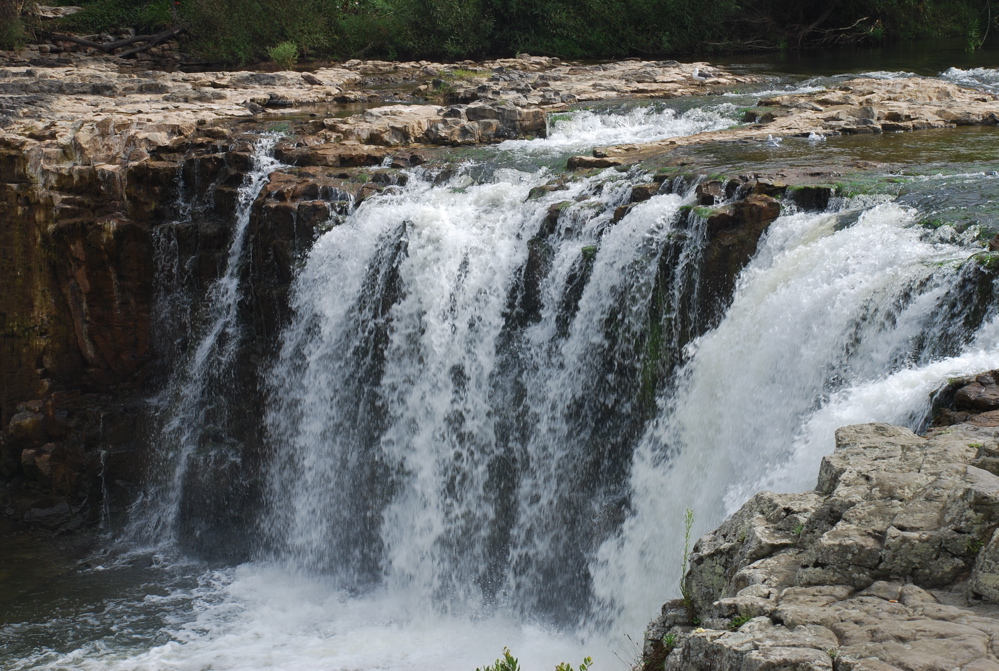 DSC_0247.JPG