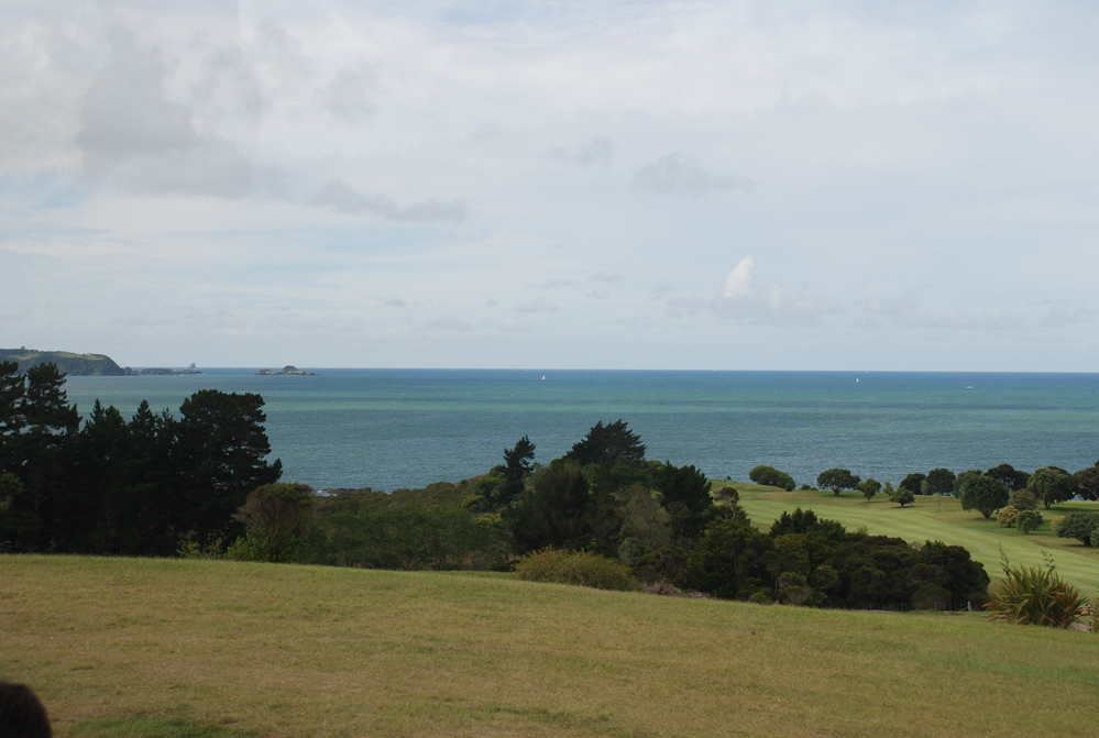 DSC_0253.JPG