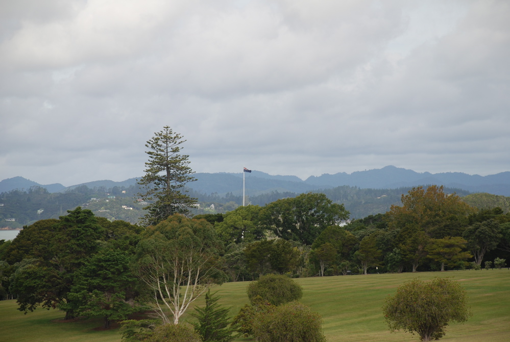 DSC_0255.JPG