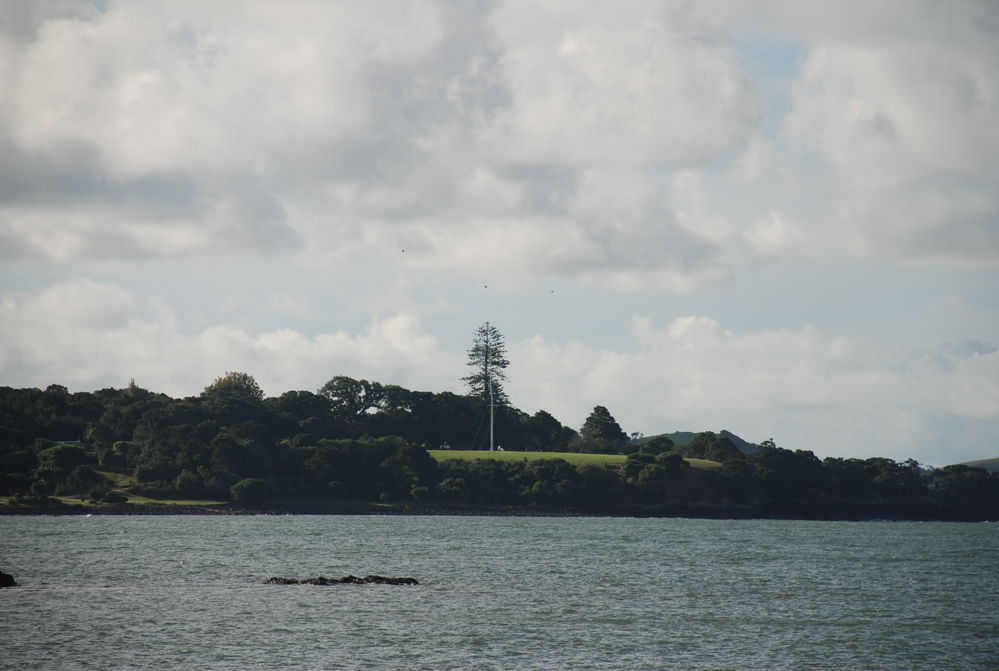 DSC_0259.JPG