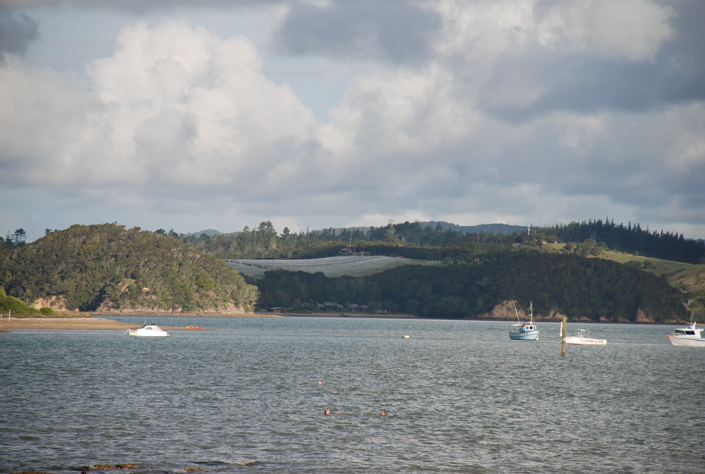DSC_0261.JPG