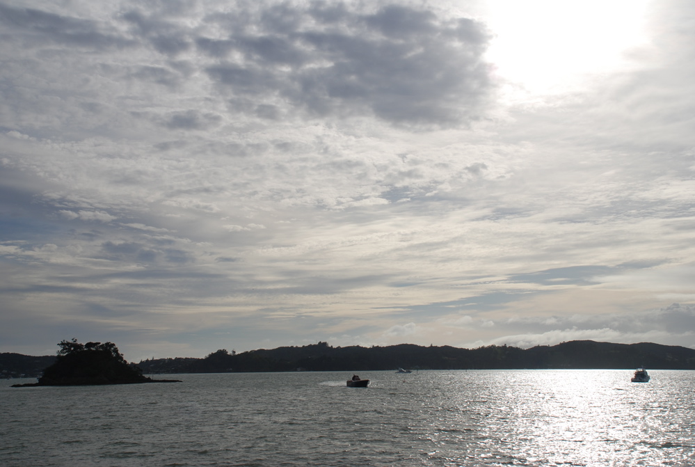 DSC_0271.JPG