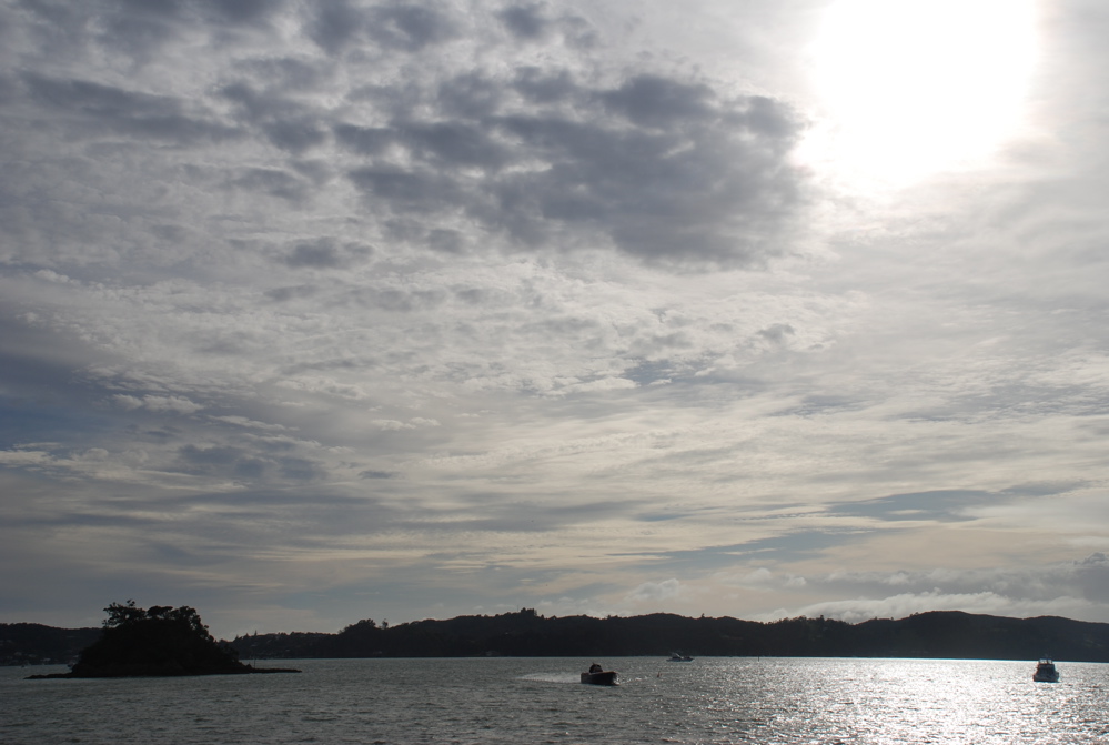 DSC_0272.JPG