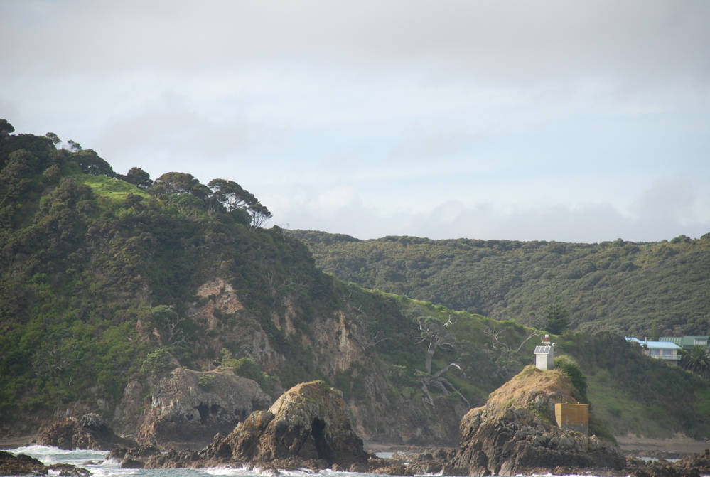 DSC_0274.JPG