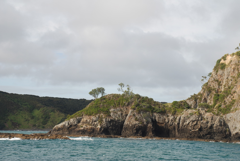 DSC_0276.JPG