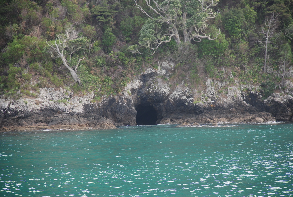 DSC_0281.JPG