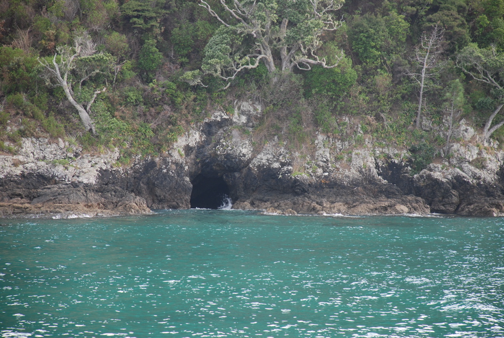 DSC_0282.JPG