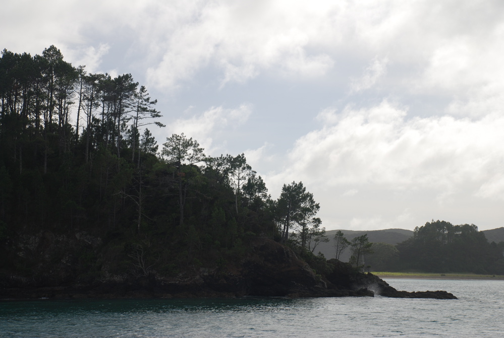 DSC_0284.JPG