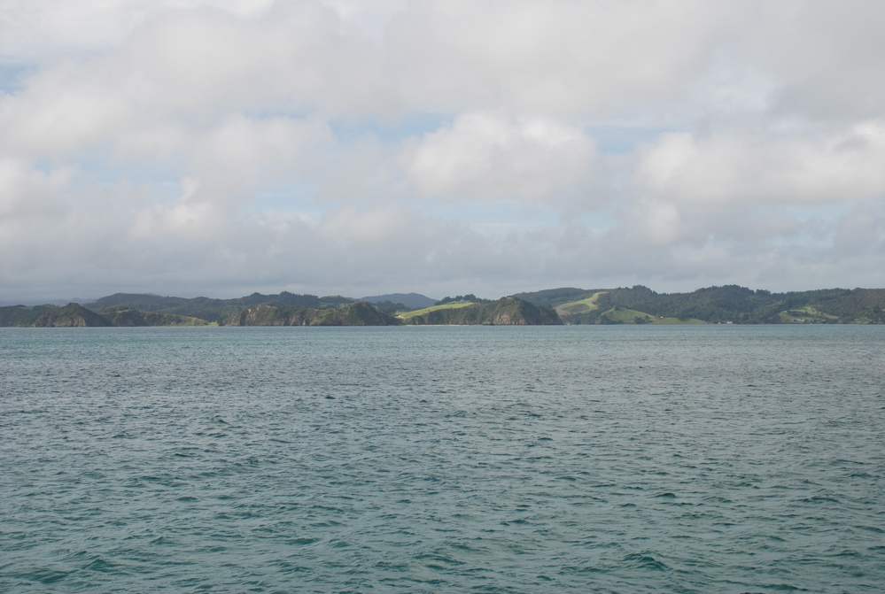 DSC_0285.JPG