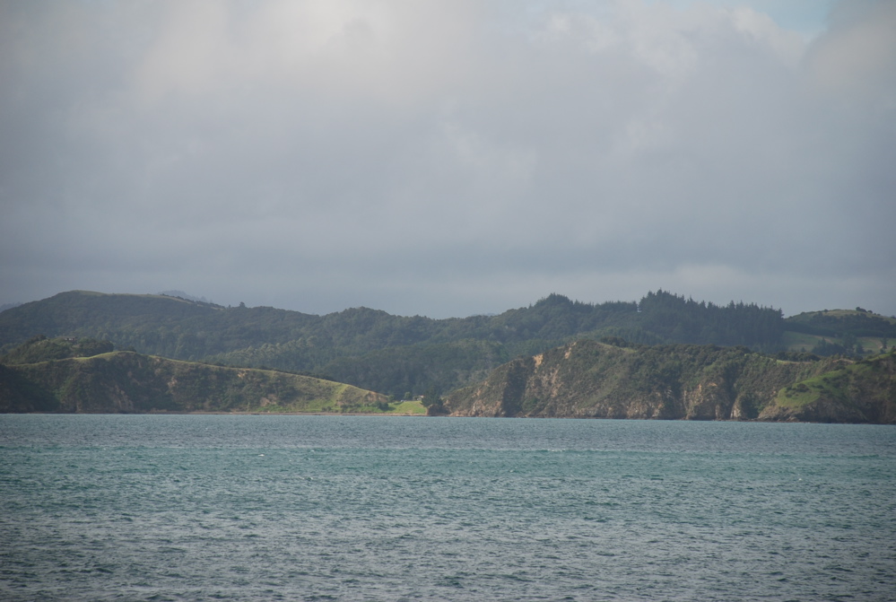DSC_0286.JPG