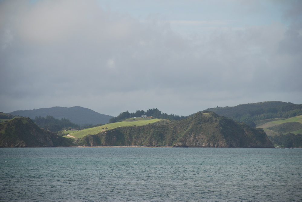 DSC_0287.JPG
