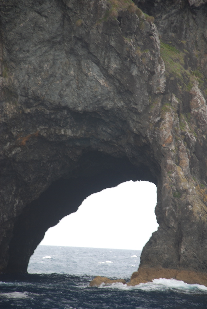 DSC_0298.JPG