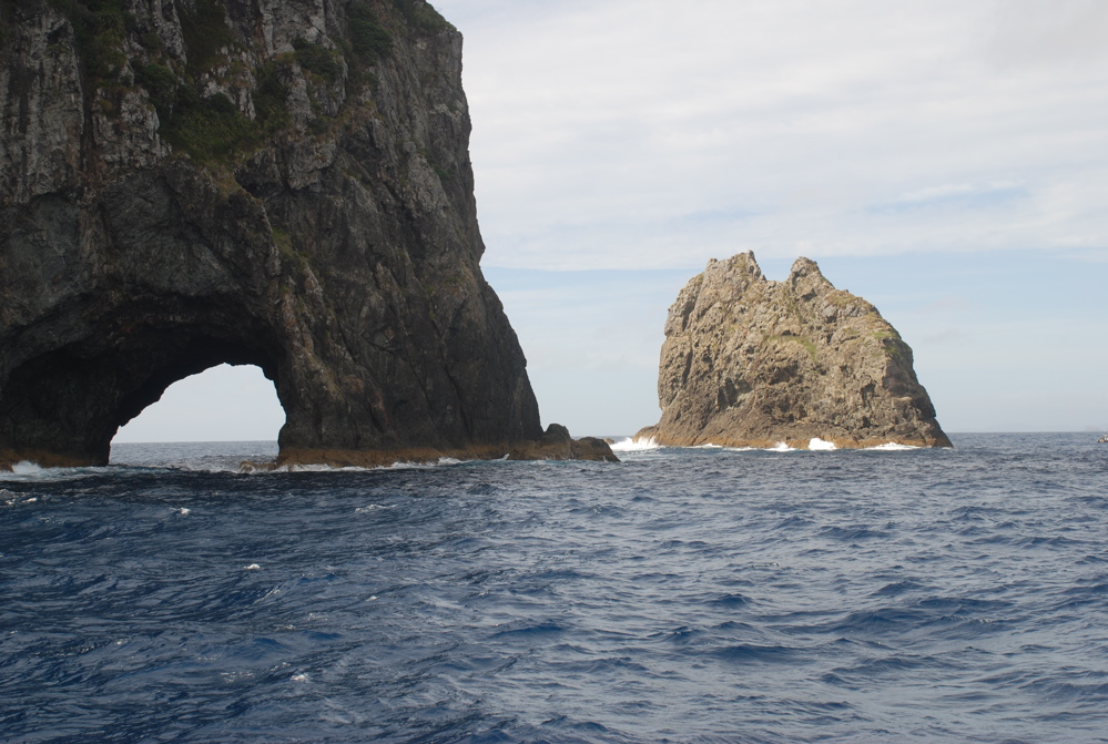DSC_0302.JPG