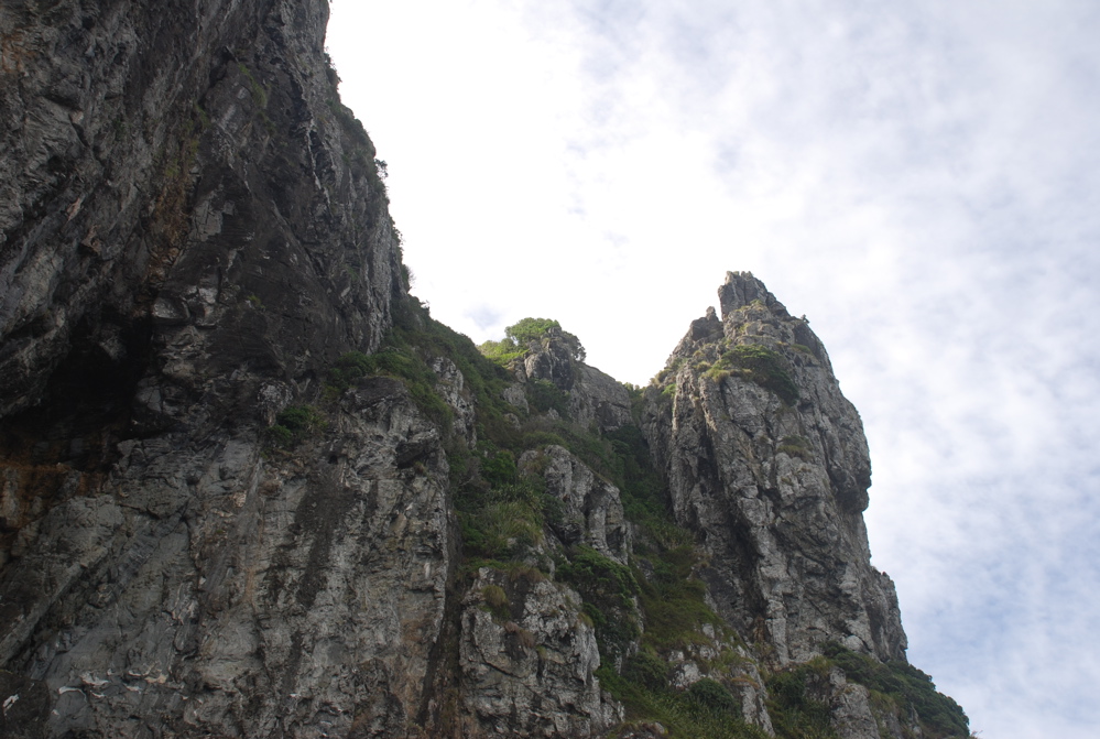 DSC_0308.JPG