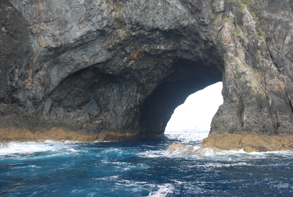 DSC_0312.JPG