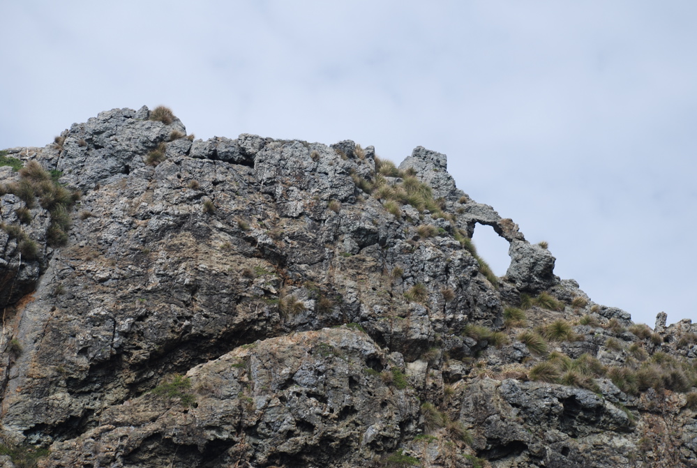 DSC_0314.JPG