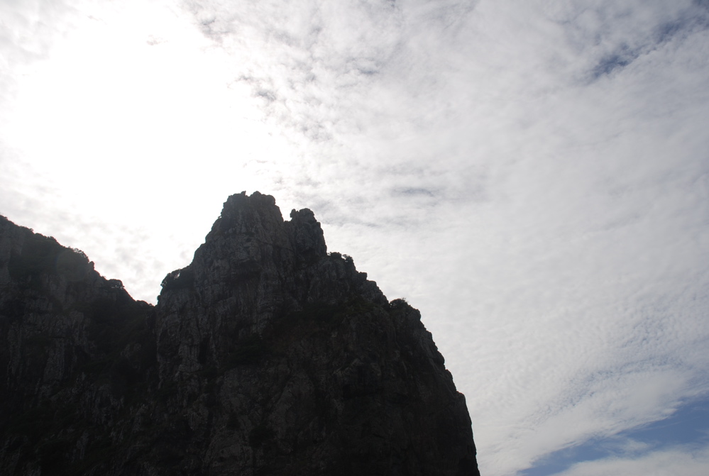 DSC_0318.JPG