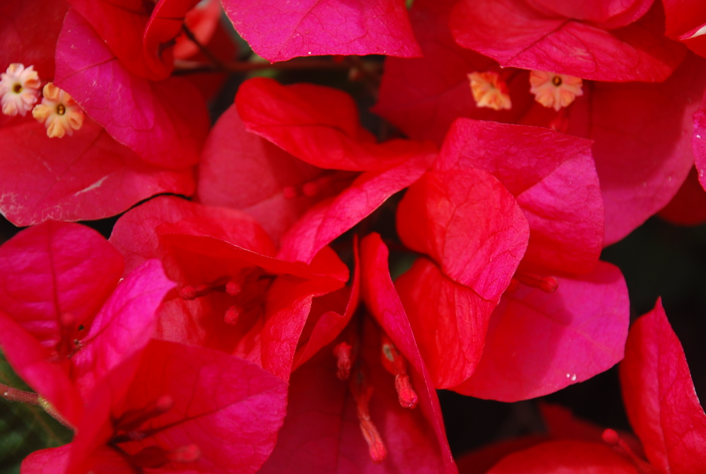 DSC_0324.JPG