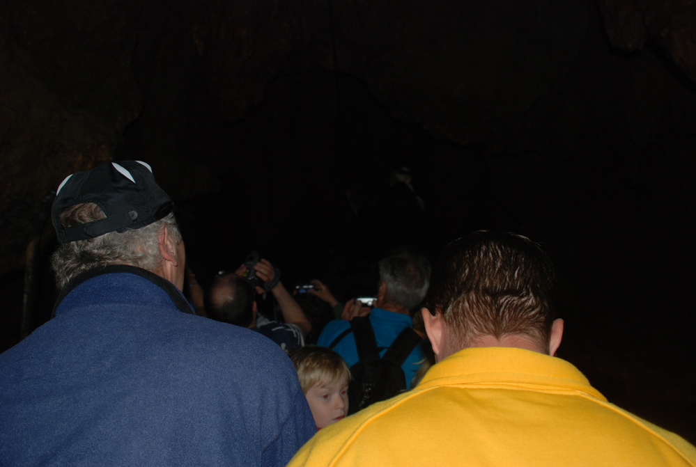 DSC_0035.JPG