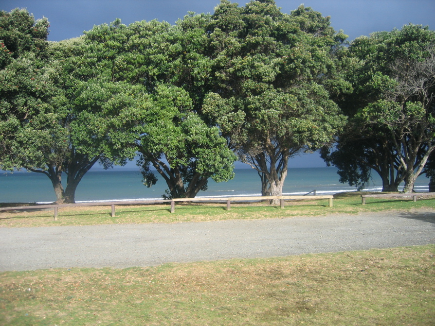 IMG_3993.JPG
