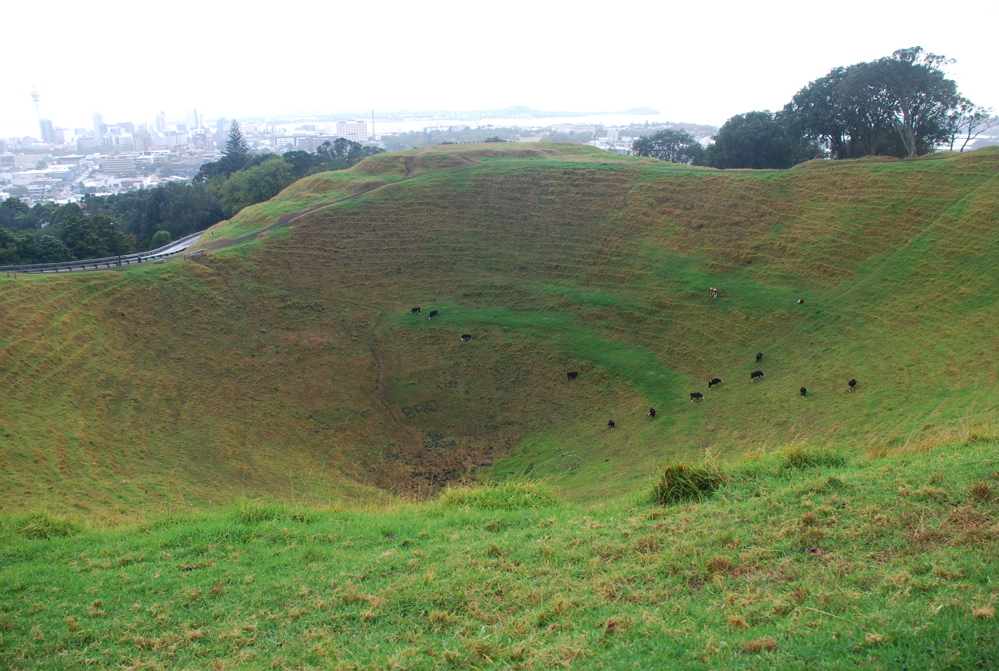 DSC_0342.JPG