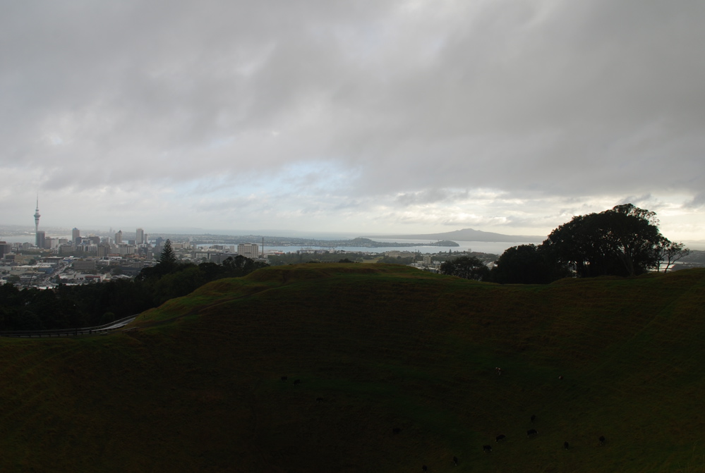 DSC_0343.JPG