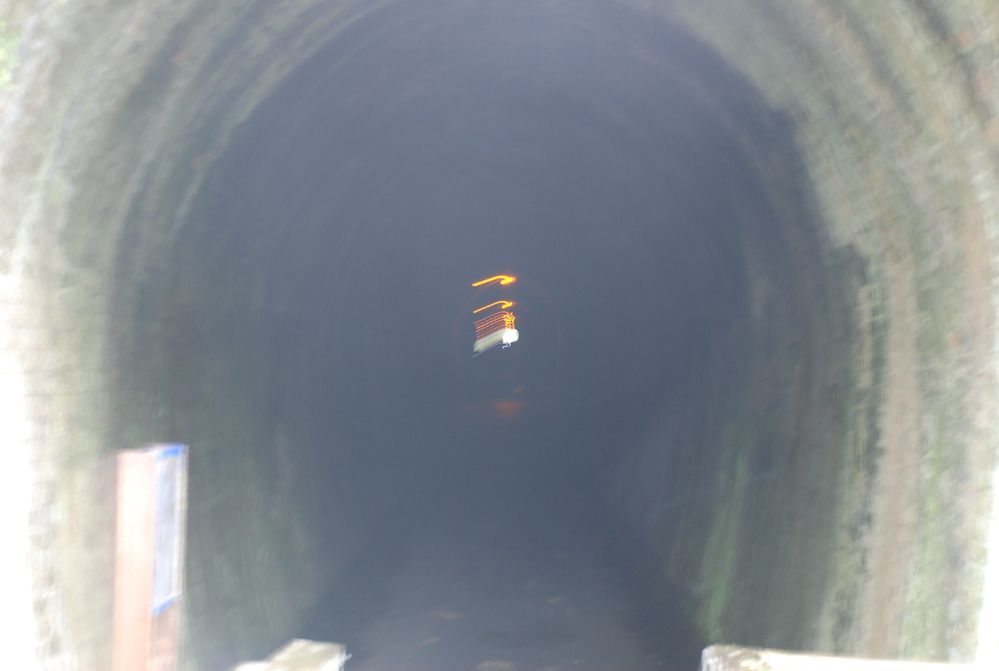 DSC_0346.JPG