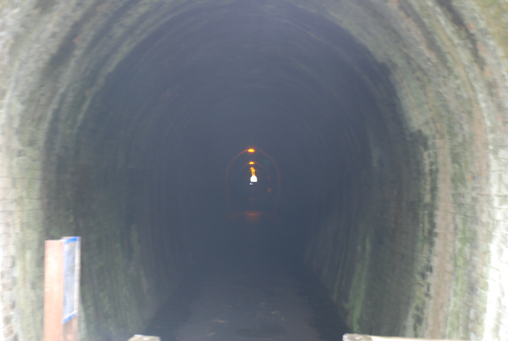 DSC_0347.JPG