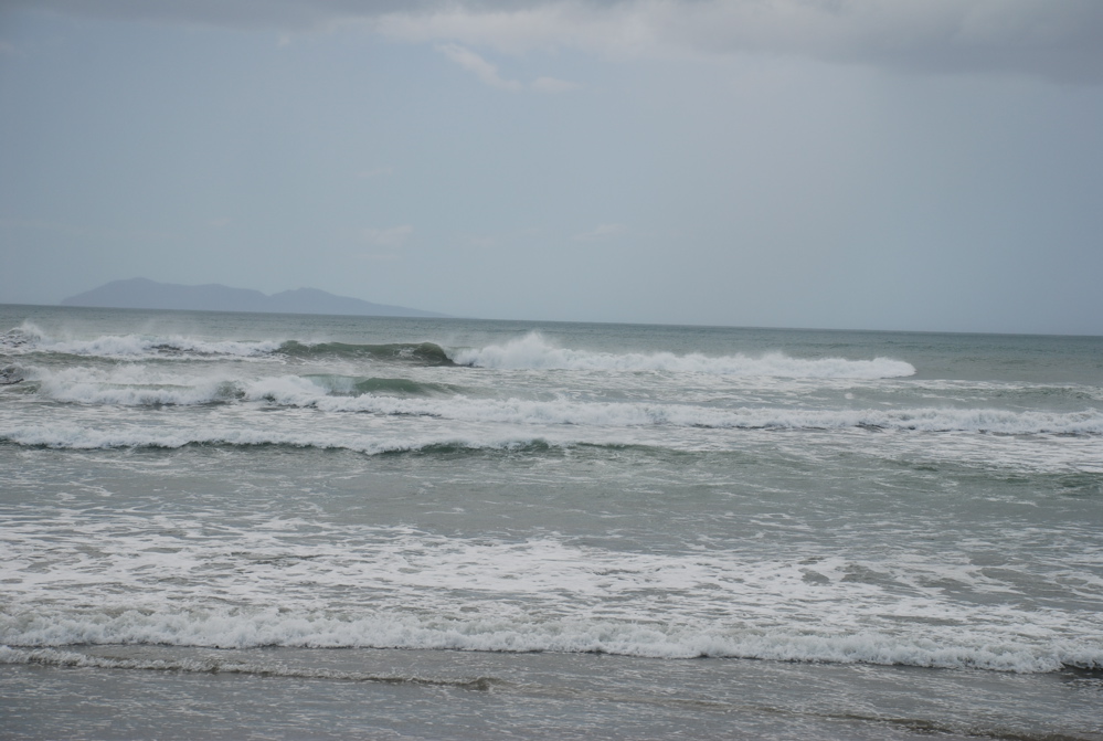 DSC_0349.JPG