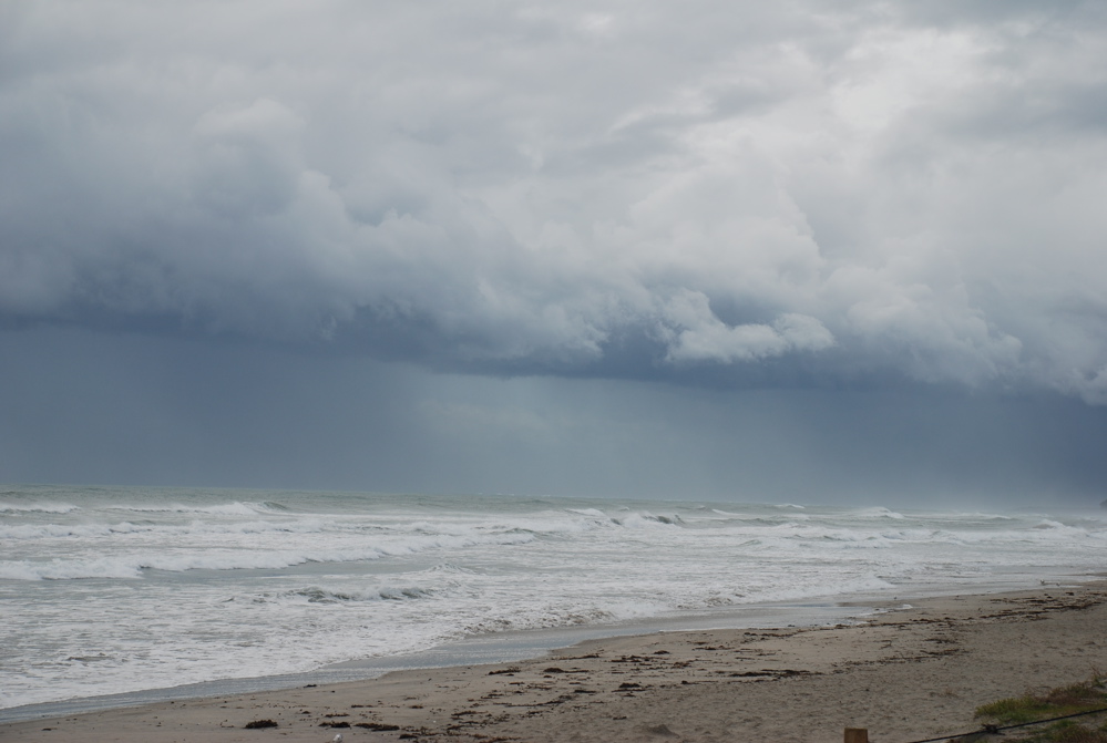 DSC_0350.JPG