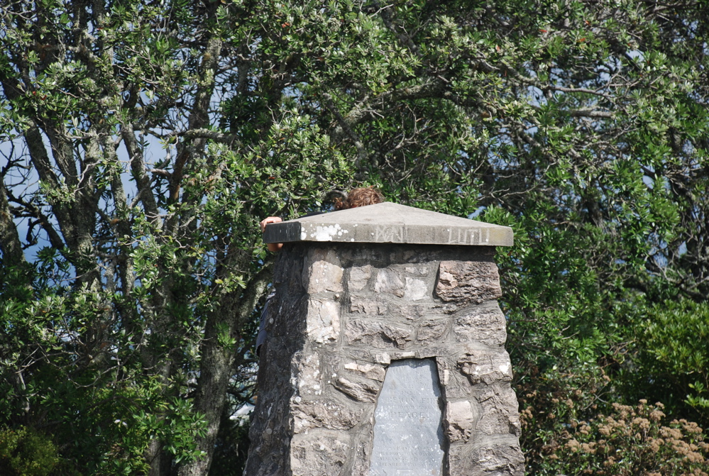 DSC_0353.JPG