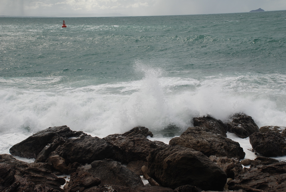 DSC_0363.JPG
