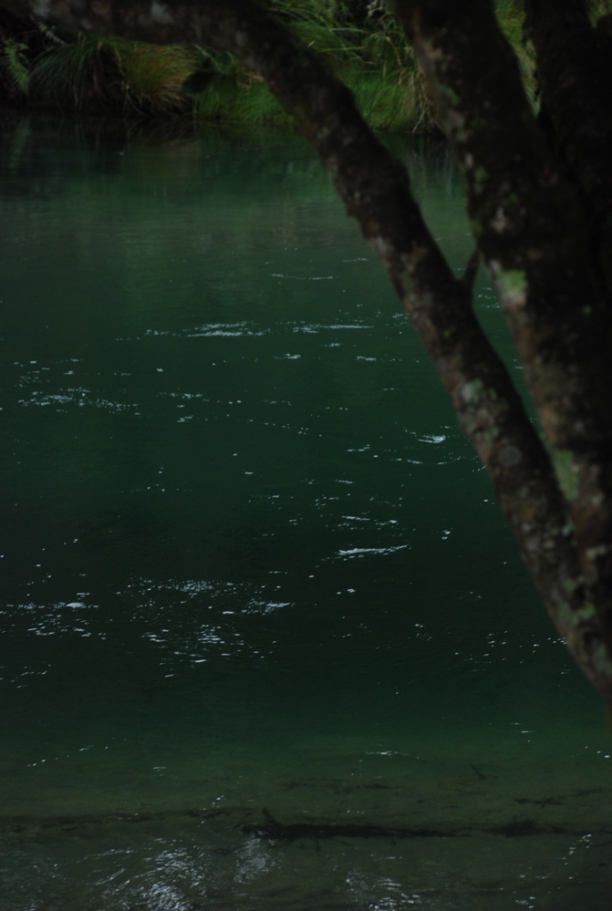 DSC_0366.JPG