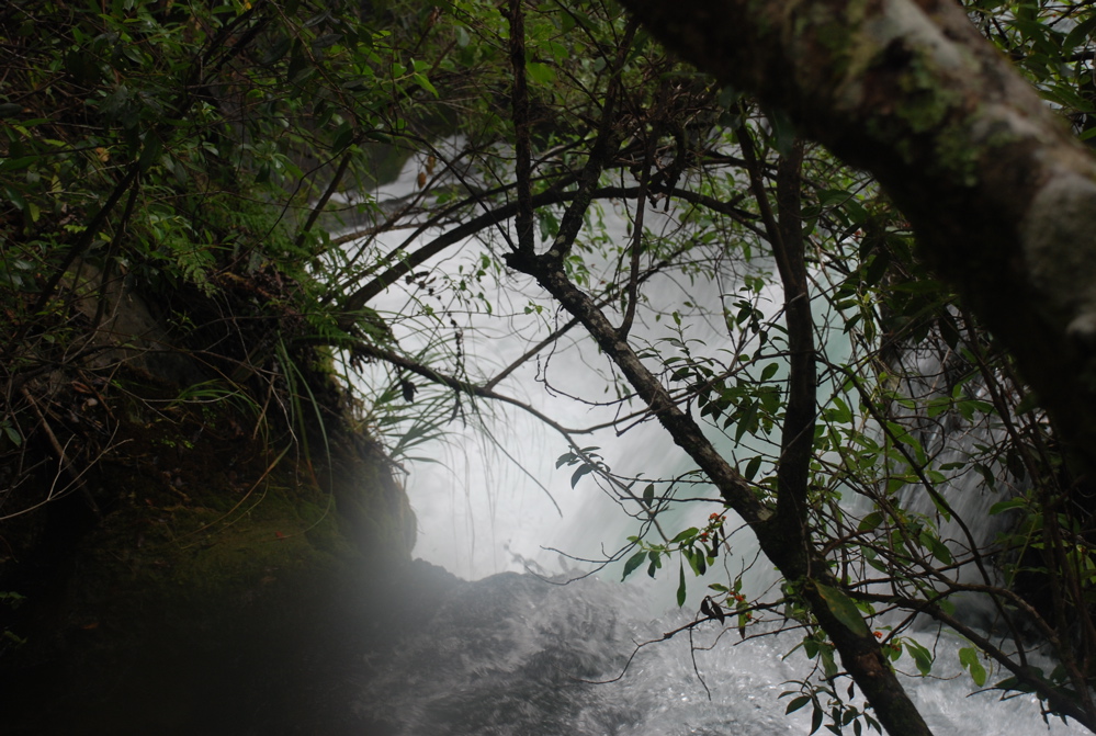 DSC_0368.JPG