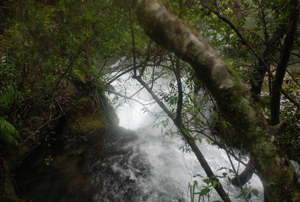 DSC_0369.JPG