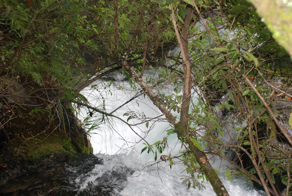 DSC_0370.JPG