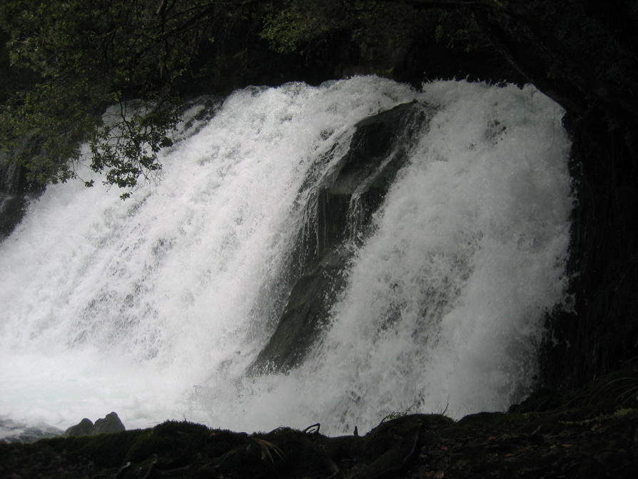 IMG_4043.JPG
