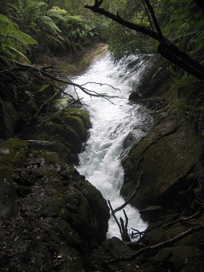 IMG_4046.JPG