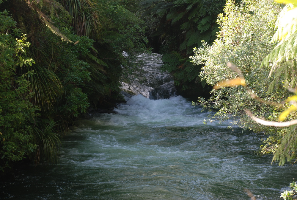 DSC_0377.JPG