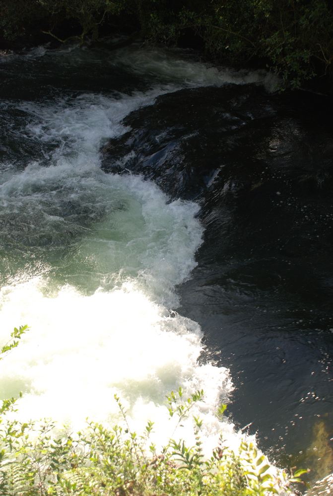 DSC_0380.JPG
