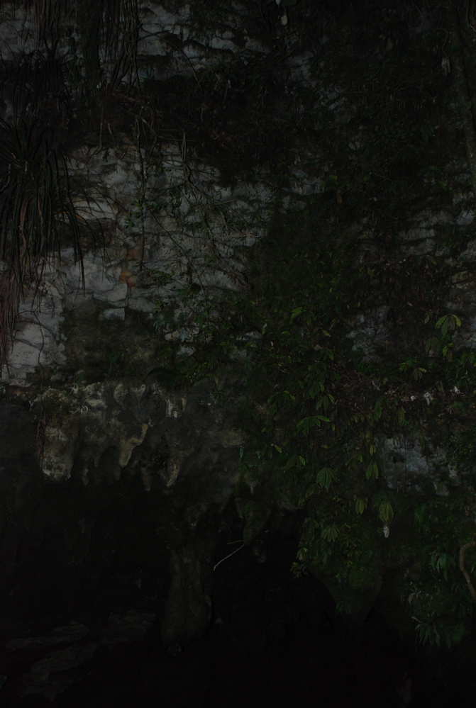 DSC_0046.JPG