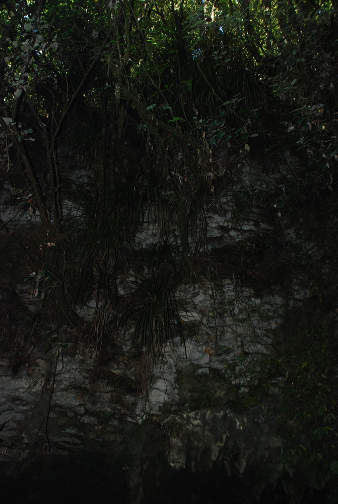 DSC_0047.JPG