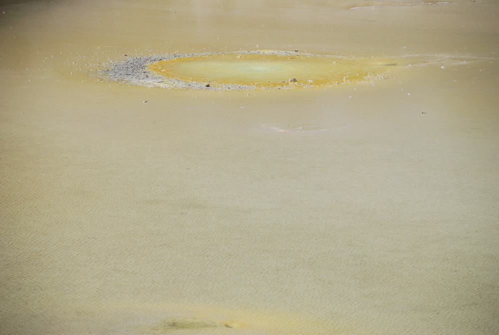 DSC_0394.JPG